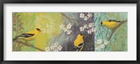Goldfinches Blooming Fine Art Print