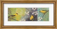 Goldfinches Blooming Fine Art Print