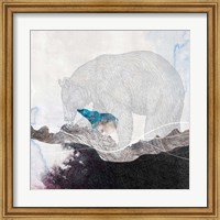 Bear 2 Fine Art Print