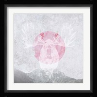 Moose 1 Framed Print