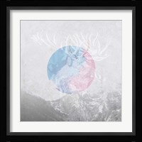 Moose 2 Fine Art Print