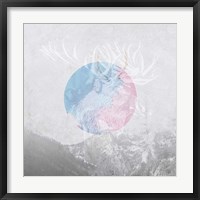 Moose 2 Fine Art Print