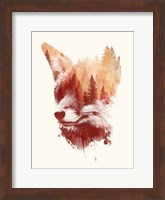 Blind Fox Fine Art Print