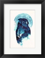 Midnight Owl Fine Art Print