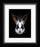 Rabbit Rocks Fine Art Print