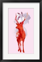 Useless Deer Fine Art Print