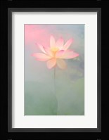 Pink Passion Fine Art Print