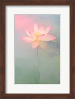 Pink Passion Fine Art Print