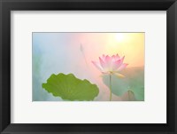 Serenity Fine Art Print