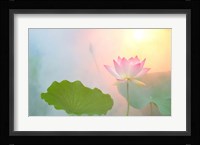 Serenity Fine Art Print