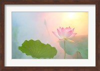 Serenity Fine Art Print