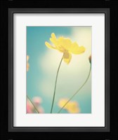 Summer Breeze Fine Art Print