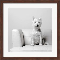 White on White Fine Art Print