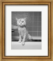 Bert's Bath Fine Art Print