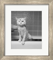 Bert's Bath Fine Art Print