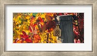 Row 88 Fine Art Print