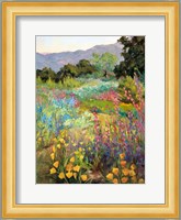 Spring Days Fine Art Print