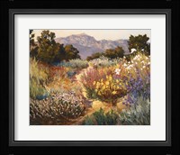 Spring Trails Fine Art Print