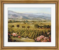 Vineyards to Vaca Mountains Fine Art Print