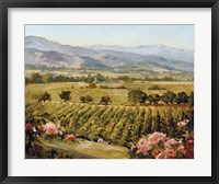 Vineyards to Vaca Mountains Fine Art Print