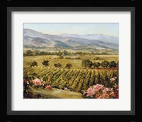 Vineyards to Vaca Mountains Fine Art Print