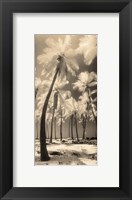 Palm Shadows I Fine Art Print