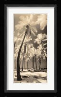 Palm Shadows I Framed Print