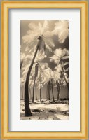 Palm Shadows I Fine Art Print