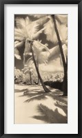 Palm Shadows II Fine Art Print