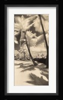 Palm Shadows II Framed Print