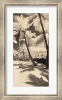 Palm Shadows II Fine Art Print