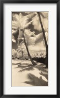 Palm Shadows II Framed Print