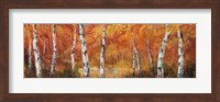 Autumn Birch I Fine Art Print