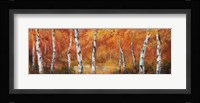 Autumn Birch I Fine Art Print