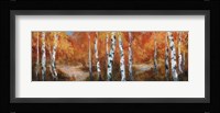 Autumn Birch II Framed Print