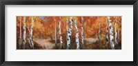Autumn Birch II Framed Print