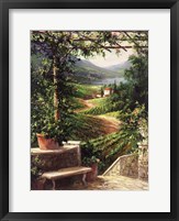 Chianti Vineyard Fine Art Print
