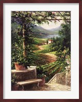 Chianti Vineyard Fine Art Print