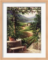 Chianti Vineyard Fine Art Print