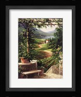 Chianti Vineyard Fine Art Print