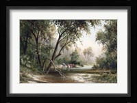 Forked Creek Fine Art Print