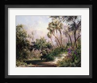 Myakka River Scene Fine Art Print