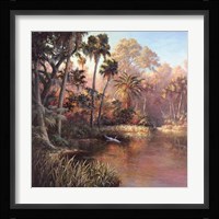 Myakka Sunset Fine Art Print