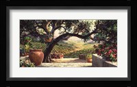 Napa Patio Fine Art Print