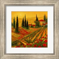 Poppies of Toscano I Fine Art Print