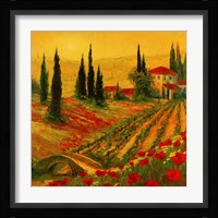Poppies of Toscano I Fine Art Print