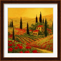 Poppies of Toscano II Fine Art Print