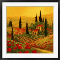 Poppies of Toscano II Fine Art Print