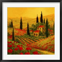 Poppies of Toscano II Fine Art Print