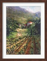 Tuscany Vineyard Fine Art Print